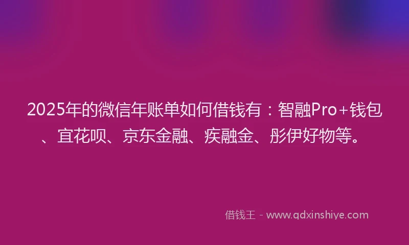 2025年的微信年账单如何借钱有：智融Pro+钱包、宜花呗、京东金融、疾融金、彤伊好物等。
