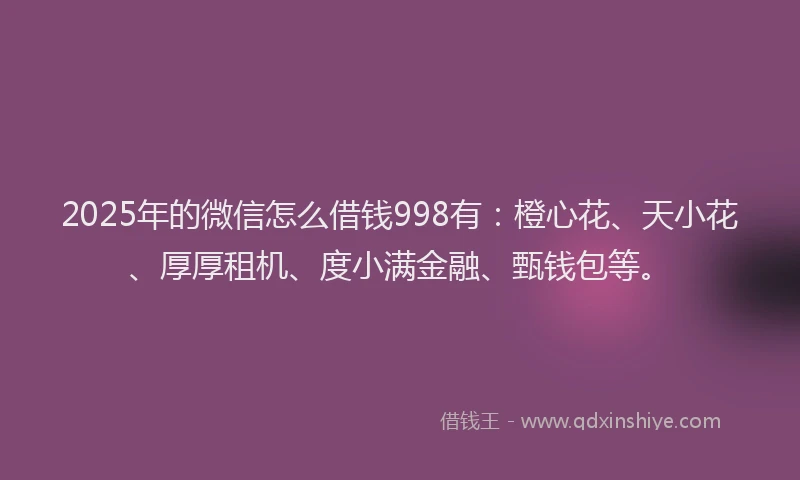 2025年的微信怎么借钱998有：橙心花、天小花、厚厚租机、度小满金融、甄钱包等。