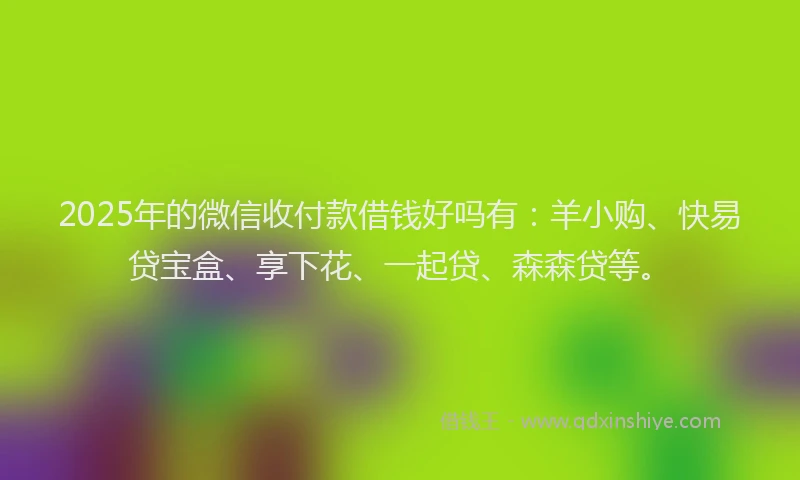2025年的微信收付款借钱好吗有：羊小购、快易贷宝盒、享下花、一起贷、森森贷等。