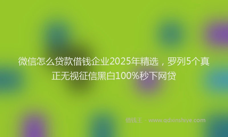 微信怎么贷款借钱企业2025年精选，罗列5个真正无视征信黑白100%秒下网贷