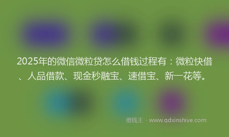 2025年的微信微粒贷怎么借钱过程有：微粒快借、人品借款、现金秒融宝、速借宝、新一花等。