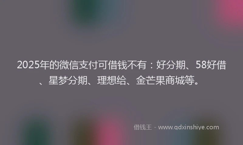 2025年的微信支付可借钱不有：好分期、58好借、星梦分期、理想给、金芒果商城等。