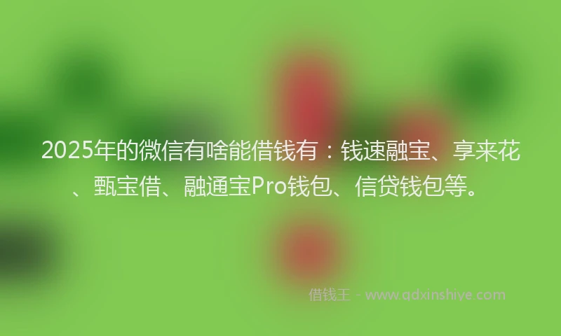 2025年的微信有啥能借钱有：钱速融宝、享来花、甄宝借、融通宝Pro钱包、信贷钱包等。