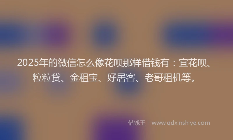 2025年的微信怎么像花呗那样借钱有：宜花呗、粒粒贷、金租宝、好居客、老哥租机等。