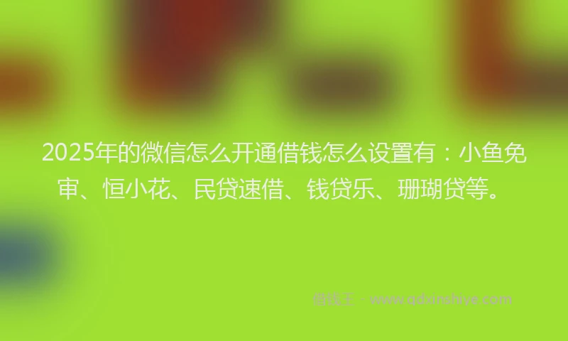 2025年的微信怎么开通借钱怎么设置有：小鱼免审、恒小花、民贷速借、钱贷乐、珊瑚贷等。