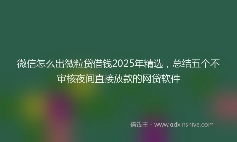 微信怎么出微粒贷借钱2025年精选，总结五个不审核夜间直接放款的网贷软件