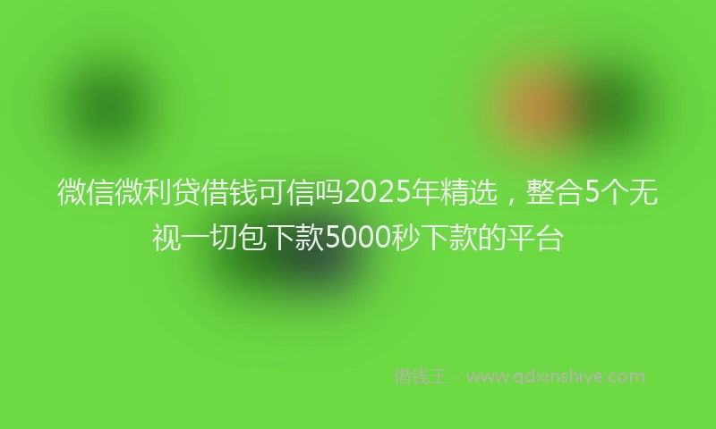 微信微利贷借钱可信吗2025年精选，整合5个无视一切包下款5000秒下款的平台