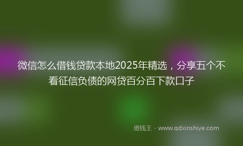 微信怎么借钱贷款本地2025年精选，分享五个不看征信负债的网贷百分百下款口子