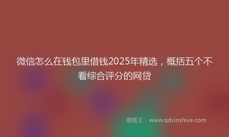 微信怎么在钱包里借钱2025年精选，概括五个不看综合评分的网贷
