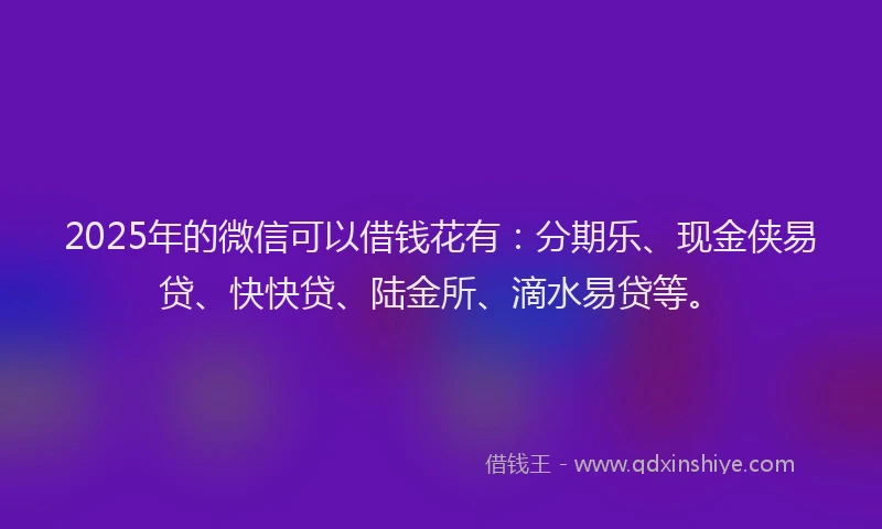 2025年的微信可以借钱花有：分期乐、现金侠易贷、快快贷、陆金所、滴水易贷等。