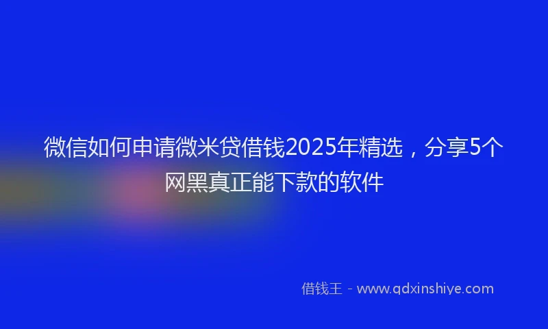 微信如何申请微米贷借钱2025年精选，分享5个网黑真正能下款的软件
