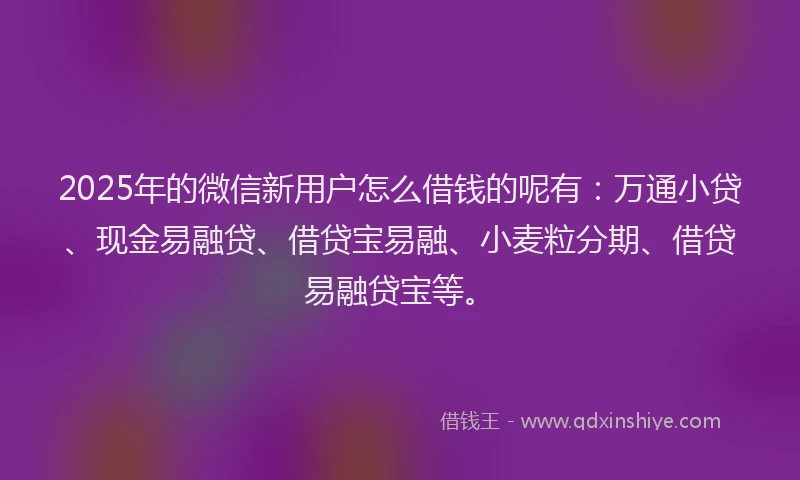 2025年的微信新用户怎么借钱的呢有：万通小贷、现金易融贷、借贷宝易融、小麦粒分期、借贷易融贷宝等。