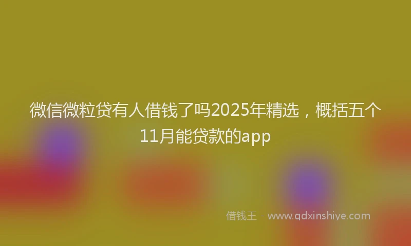 微信微粒贷有人借钱了吗2025年精选，概括五个11月能贷款的app
