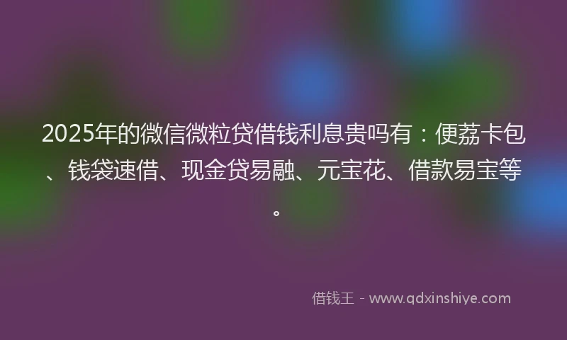 2025年的微信微粒贷借钱利息贵吗有：便荔卡包、钱袋速借、现金贷易融、元宝花、借款易宝等。