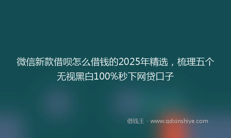 微信新款借呗怎么借钱的2025年精选，梳理五个无视黑白100%秒下网贷口子