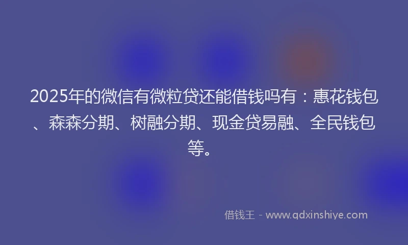 2025年的微信有微粒贷还能借钱吗有：惠花钱包、森森分期、树融分期、现金贷易融、全民钱包等。