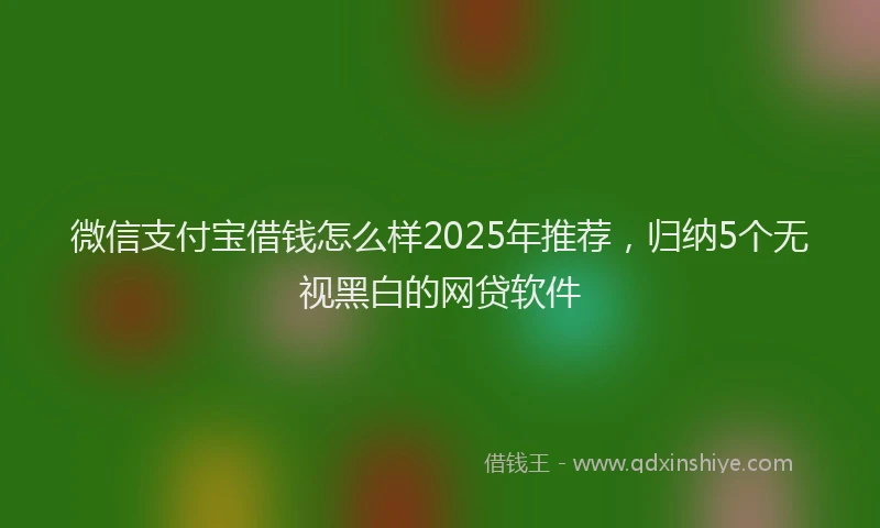 微信支付宝借钱怎么样2025年推荐，归纳5个无视黑白的网贷软件