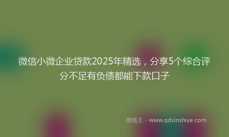 微信小微企业贷款2025年精选，分享5个综合评分不足有负债都能下款口子