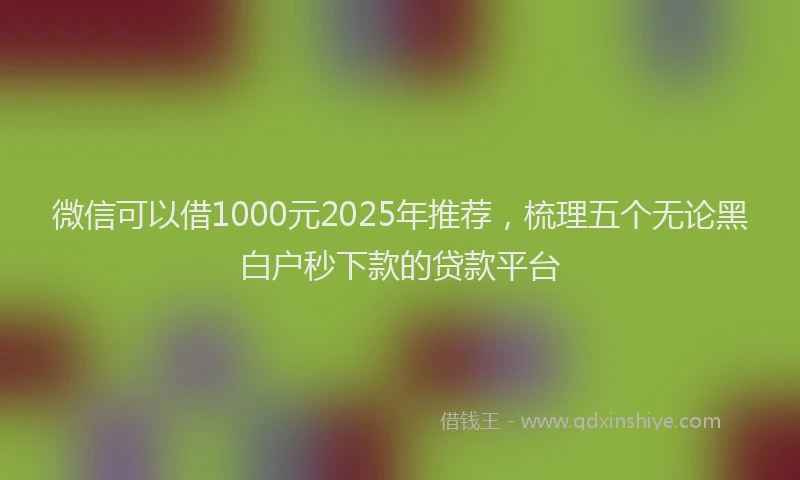 微信可以借1000元2025年推荐，梳理五个无论黑白户秒下款的贷款平台