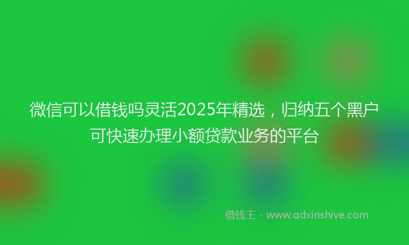 微信可以借钱吗灵活2025年精选，归纳五个黑户可快速办理小额贷款业务的平台