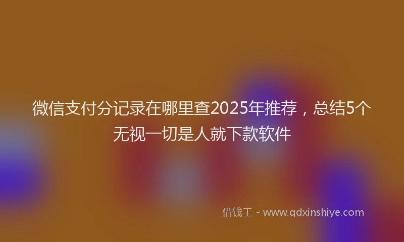 微信支付分记录在哪里查2025年推荐，总结5个无视一切是人就下款软件