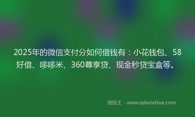 2025年的微信支付分如何借钱有：小花钱包、58好借、哆哆米、360尊享贷、现金秒贷宝盒等。