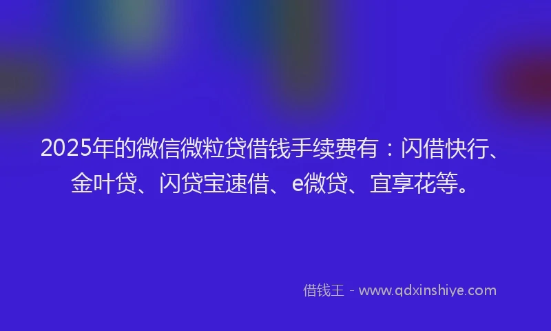 2025年的微信微粒贷借钱手续费有：闪借快行、金叶贷、闪贷宝速借、e微贷、宜享花等。