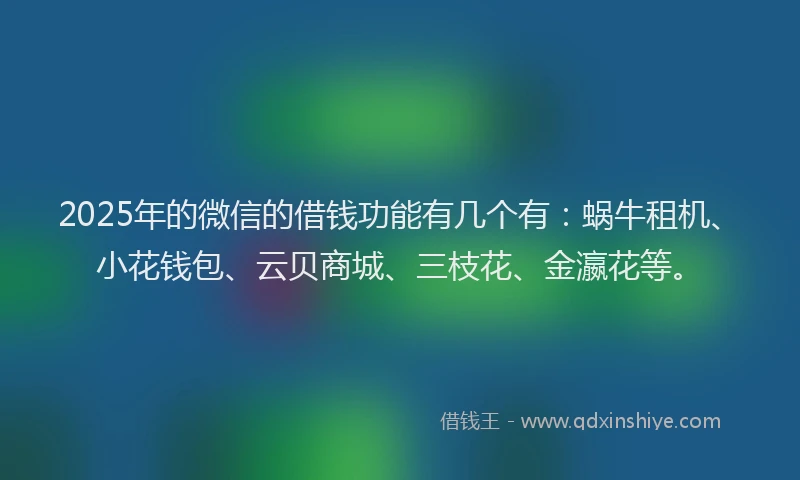 2025年的微信的借钱功能有几个有：蜗牛租机、小花钱包、云贝商城、三枝花、金瀛花等。