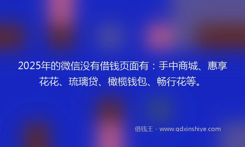 2025年的微信没有借钱页面有：手中商城、惠享花花、琉璃贷、橄榄钱包、畅行花等。