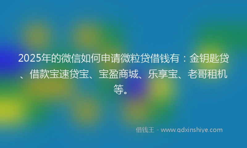 2025年的微信如何申请微粒贷借钱有：金钥匙贷、借款宝速贷宝、宝盈商城、乐享宝、老哥租机等。