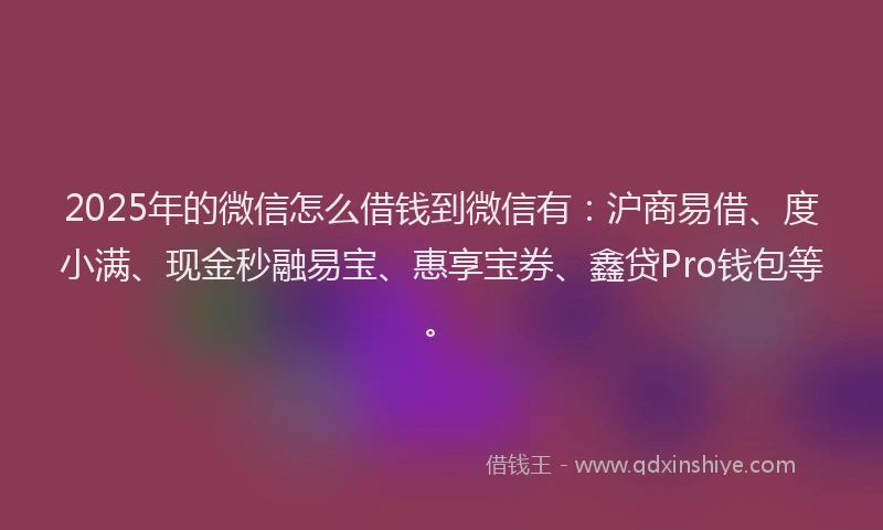 2025年的微信怎么借钱到微信有：沪商易借、度小满、现金秒融易宝、惠享宝券、鑫贷Pro钱包等。