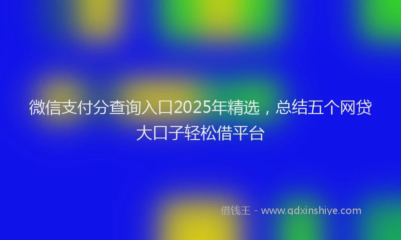 微信支付分查询入口2025年精选，总结五个网贷大口子轻松借平台