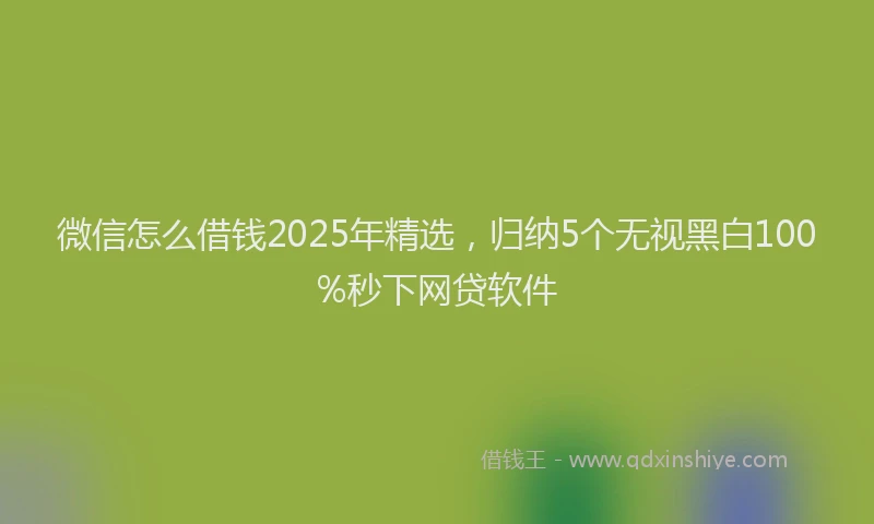 微信怎么借钱2025年精选，归纳5个无视黑白100%秒下网贷软件
