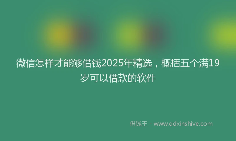 微信怎样才能够借钱2025年精选，概括五个满19岁可以借款的软件