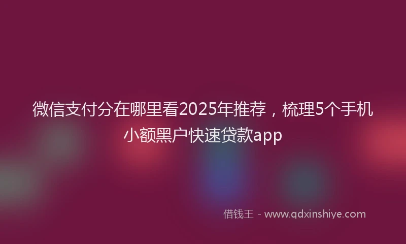 微信支付分在哪里看2025年推荐，梳理5个手机小额黑户快速贷款app