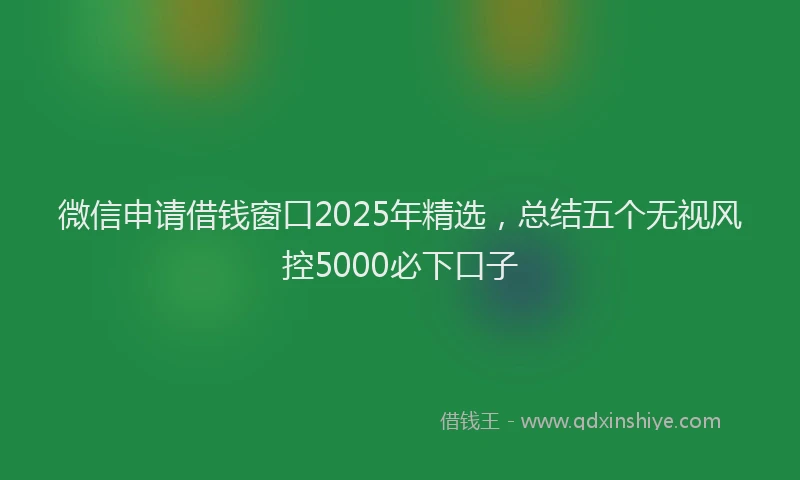 微信申请借钱窗口2025年精选，总结五个无视风控5000必下口子