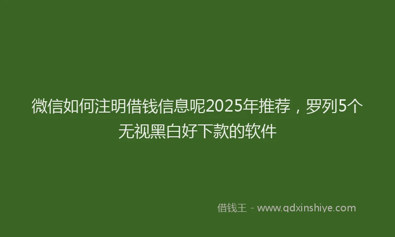 微信如何注明借钱信息呢2025年推荐，罗列5个无视黑白好下款的软件