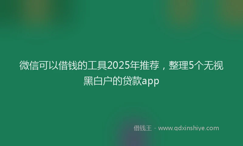 微信可以借钱的工具2025年推荐，整理5个无视黑白户的贷款app