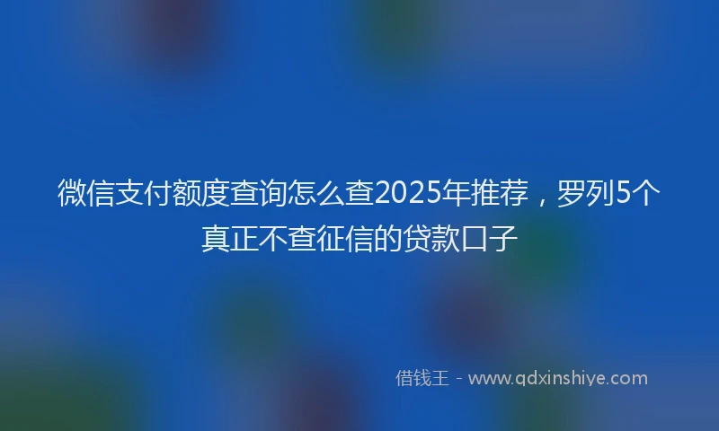 微信支付额度查询怎么查2025年推荐，罗列5个真正不查征信的贷款口子