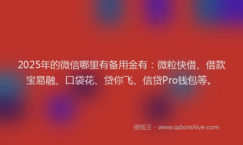 2025年的微信哪里有备用金有：微粒快借、借款宝易融、口袋花、贷你飞、信贷Pro钱包等。