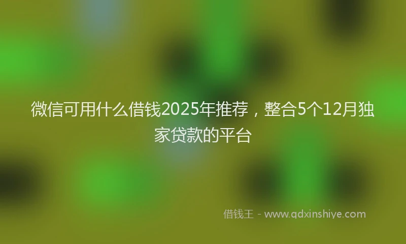 微信可用什么借钱2025年推荐，整合5个12月独家贷款的平台