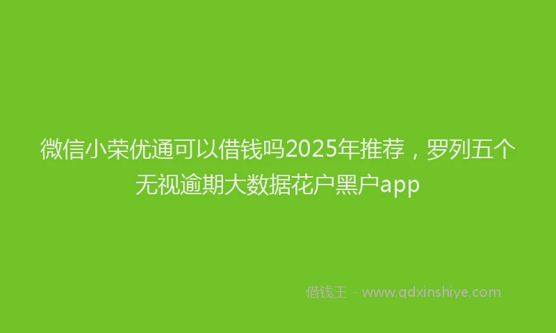微信小荣优通可以借钱吗2025年推荐，罗列五个无视逾期大数据花户黑户app