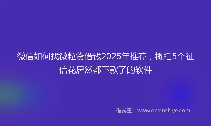 微信如何找微粒贷借钱2025年推荐，概括5个征信花居然都下款了的软件