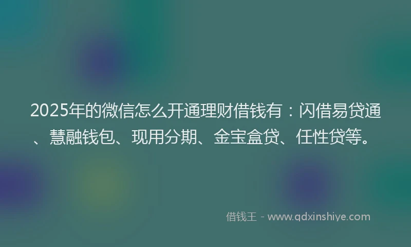 2025年的微信怎么开通理财借钱有：闪借易贷通、慧融钱包、现用分期、金宝盒贷、任性贷等。