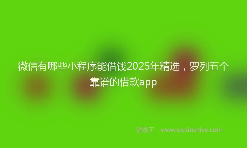 微信有哪些小程序能借钱2025年精选，罗列五个靠谱的借款app