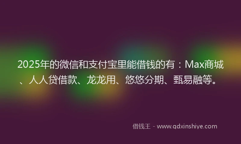 2025年的微信和支付宝里能借钱的有：Max商城、人人贷借款、龙龙用、悠悠分期、甄易融等。