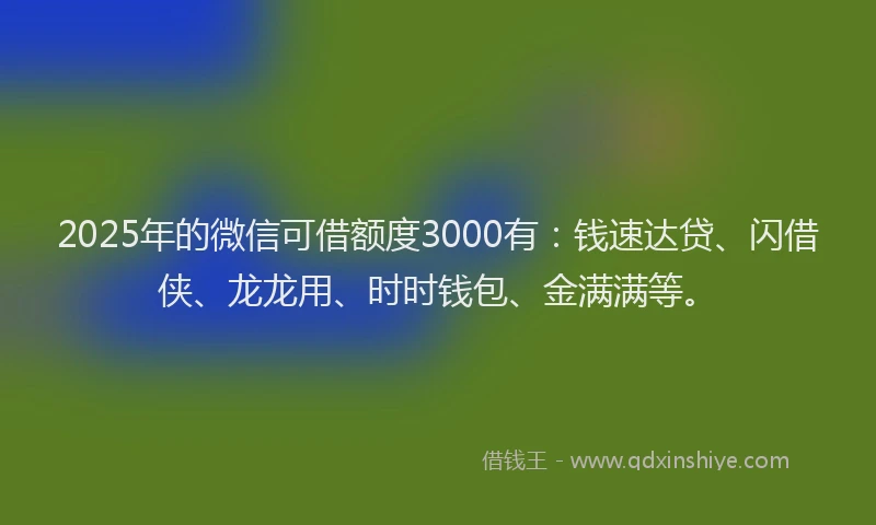 2025年的微信可借额度3000有：钱速达贷、闪借侠、龙龙用、时时钱包、金满满等。