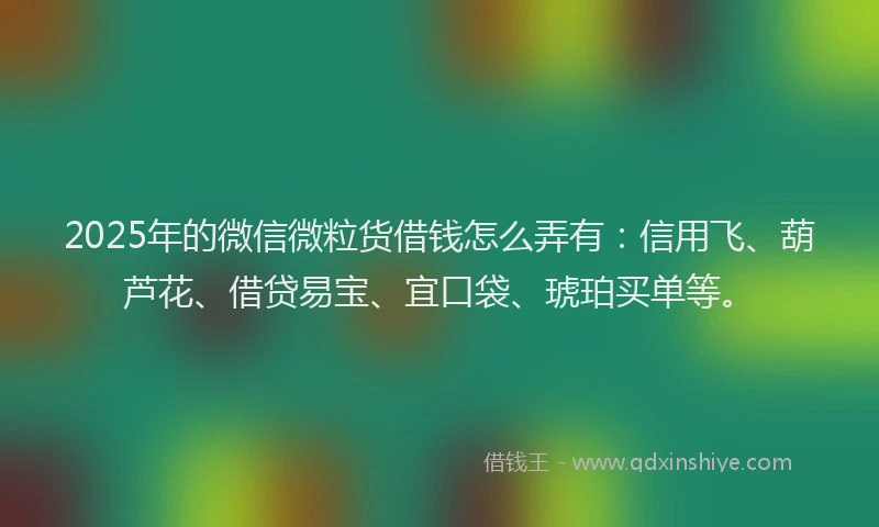 2025年的微信微粒货借钱怎么弄有：信用飞、葫芦花、借贷易宝、宜口袋、琥珀买单等。