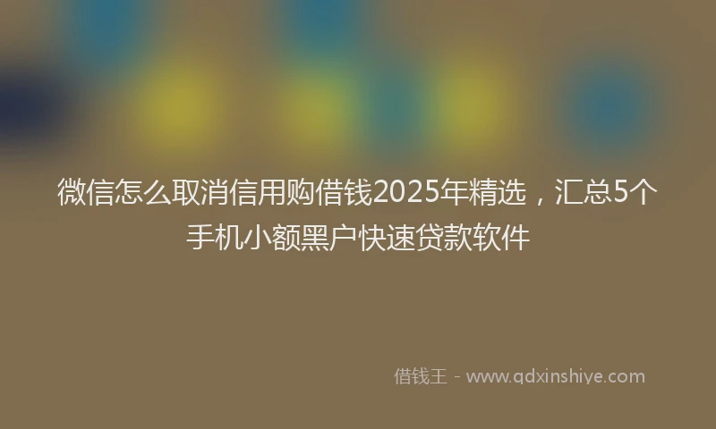 微信怎么取消信用购借钱2025年精选，汇总5个手机小额黑户快速贷款软件