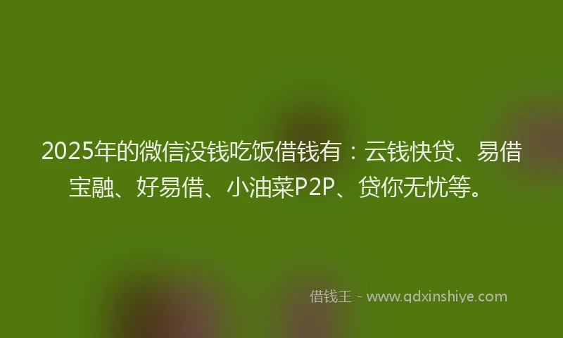 2025年的微信没钱吃饭借钱有：云钱快贷、易借宝融、好易借、小油菜P2P、贷你无忧等。